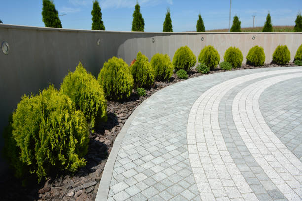 Best Driveway Paver Sealing  in Bladenboro, NC
