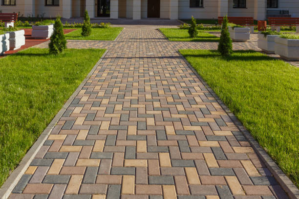 Best Driveway Paving Company  in Bladenboro, NC